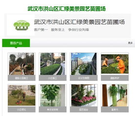 绿化养护中心 鄂州绿化养护 武汉汇绿美景园艺