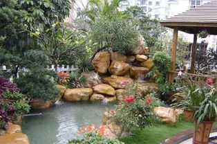 如果家里有个院子,就建个这样的鱼池吧,越住越富贵,真是太美了 庭院